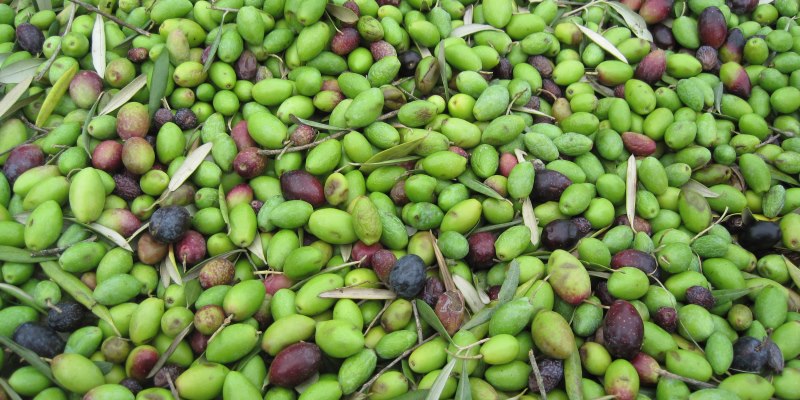 olives