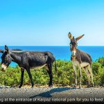 north-cyprus-karpaz-tour-3